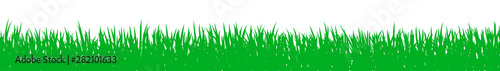 Green grass, field, nature eco background - for stock vector