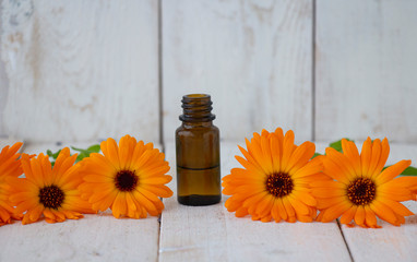 A bottle of calendula tincture, with fresh calendula flowers