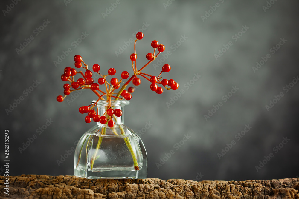 Obraz na płótnie Beautiful autumn red berries in glass bottle on wood  at bokeh background, front view. Autumn still life with berries. w salonie
