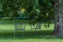 Two Chairs In A Park Under A Hugh Tree In The Shadow