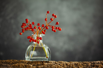 Beautiful autumn red berries in glass bottle on wood  at bokeh background, front view. Autumn still life with berries.