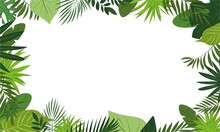 Fresh Rainforest Concept Banner. Cartoon Illustration Of Fresh Rainforest Vector Concept Banner For Web Design