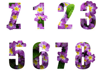 Beautiful letters of the alphabet and numbers made of flowers