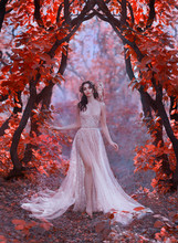 Gorgeous Lady With Fair Skin And Dark Hair Dressed In Long, Lightly Chic Summer Shiny Transparent Dress, Forest Magic Sorceress Walks The Harms Of Trees With Red Leaves With Her White Owl On Shoulder