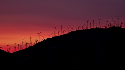 Wall Mural - Row of Wind Turbines on mountain top at dawn