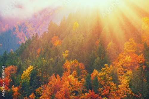 upadek-lasu-w-gorach-jesien-natura-pejzaz-tlo-sunshine-w-widoku-scenerii-lasu-naturalny-park-narodowy-z-jesiennymi-drzewami-cieple