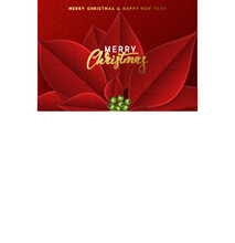 Merry Christmas And Happy New Year, Background Decorated With Beautiful Red Buds Poinsettia Flowers