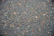wet black asphalt road texture, dark background
