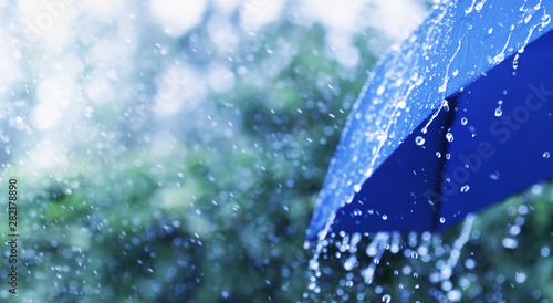 Fotomural Lifestyle scene of rainy weather