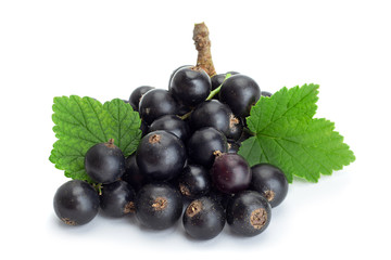 Wall Mural - Black currant berries closeup