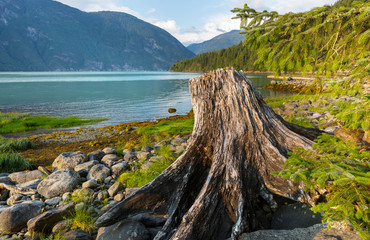 Canvas Print - Bella Coola