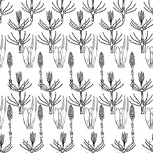 Botanical Seamless Pattern In Vintage Style. Various Leaves Of Ferns, Cones, Horsetail, Calamus, Sow Thistle, Wheat Grass, Holly. Vector Engraving Black And White Illustration.