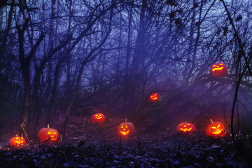 Halloween pumpkins in night forest