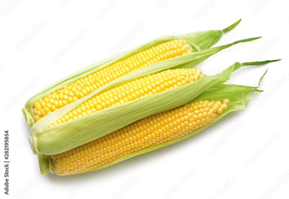 Fresh corn cobs on white background