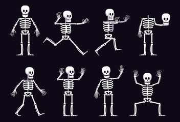 halloween cartoon skeleton in different positions. running skeleton with outstretched arms. vector i