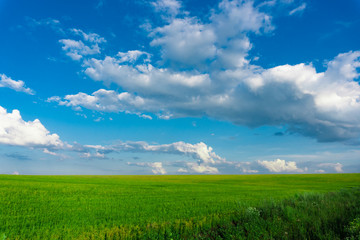 blue sky with clouds and green field