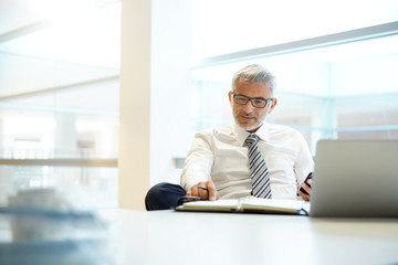 Wall Mural - Relaxed mature businessman working in contemporary office