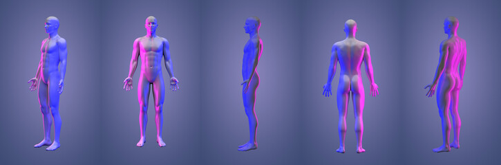 3d rendering illustration of human collection