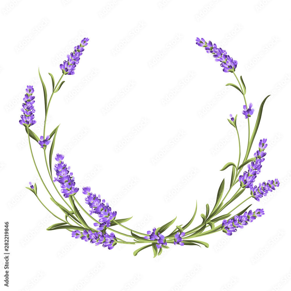 Wreath of lavender, provence region of france. The frame of bouquet for perfume label. Bunch of lavender. Vector illustration. - obrazy, fototapety, plakaty 