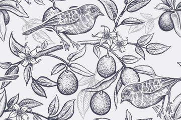 Bird on a branch of citrus tree. Seamless pattern.