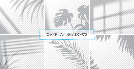 set of shadows, overlay effects mock up, window frame and leaf of plants, natural light, vector illu