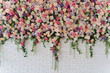 Beautiful Decorative Colorful Roses on Brick Wall. Wedding Party Decor Detail. Delicate Clambering Plant Blossom Pastel Flower on White Background. Elegant Arrangement Floristics Setting