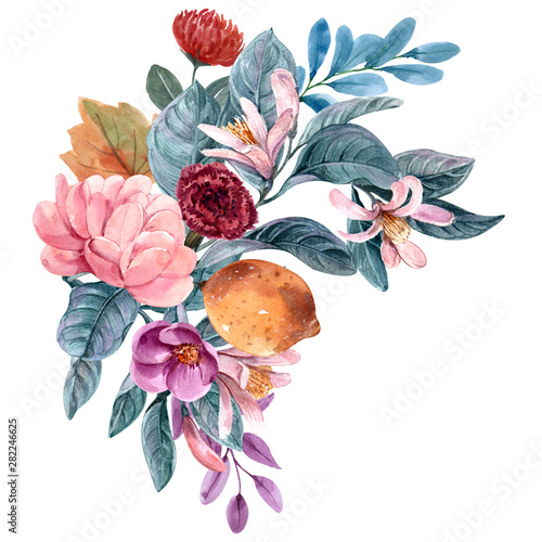 floral illustration, Leaf and buds. Botanic composition for design. branch of...