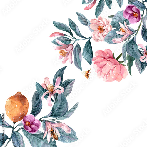 floral illustration, Leaf and buds. Botanic composition for design. branch of...