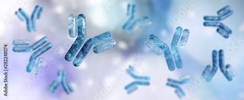 Fotografía ntibody, immunoglobulin, Y-shaped protein produced mainly by plasma cells