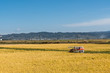 © phatthanun - Unidentified farmer with harvester machine to rice harvesting work in Japan