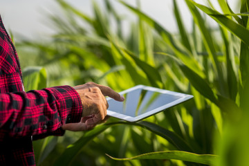 Close up man touching tablet screen in a field