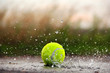 Tennis ball in the water. Tennis Ball and Water Drops