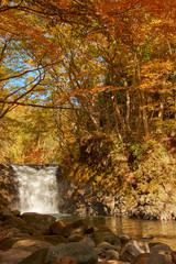  Tamari Taki. Vibrant autumn colors (foliage) at Tometaki waterfall, Aomori Prefecture, Japan