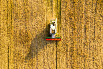 Wall Mural - Cereal harvesting