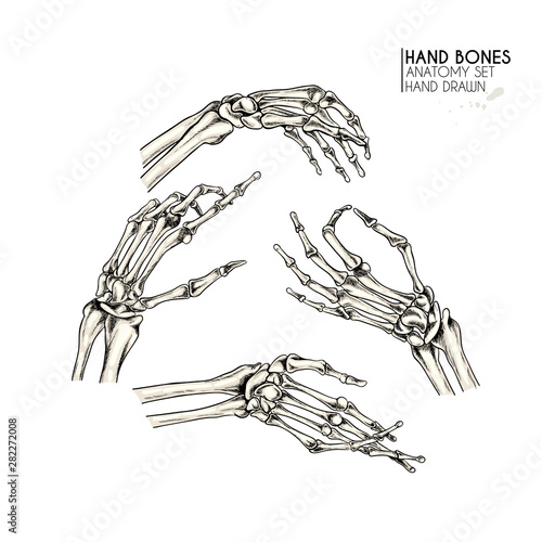 body and bones science set