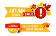 © ONYXprj - Autumn sale flyers. Seasonal sale vector banners with color leaves. Season fall sale, advertising special autumnal shopping illustration
