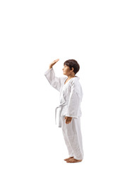 Wall Mural - Boy in karate kimono gesturing high-five with hand