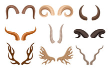 Set Of Horns Of Different Animals. Vector Illustration On White Background.