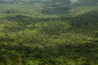 Look at the forest from above. In Chaiyaphum, Thailand