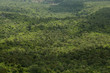 Look at the forest from above. In Chaiyaphum, Thailand