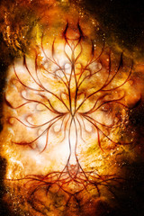 Poster - tree of life symbol on structured and space background, flower of life pattern, yggdrasil.