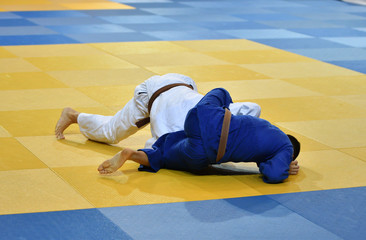 Wall Mural - Boys compete in Judo