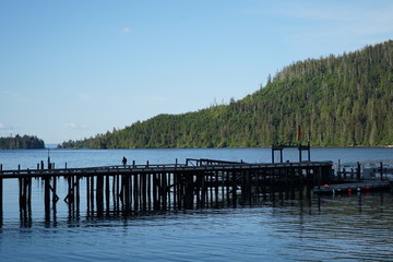 Wall Mural - Pier and Dock in Ocean Harbor - Alaska