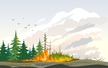 Burning Forest Spruces In Fire Flames, Nature Disaster Concept Illustration Background, Poster Danger, Careful With Fires In The Woods