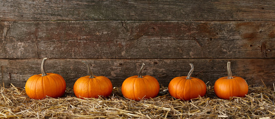 orange halloween pumpkins on stack of hay or straw