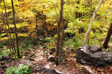 Wall Mural - wisconsin ice age nature background. autumn scenic view with rocky hiking trail between colorful tre