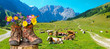 canvas print picture - Wanderschuhe mit Blumen in schöner bayerischer Landschaft