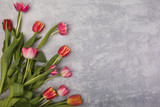 Fototapeta Tulipany - Tulips on a white rustic gray table