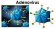 © GraphicsRF - Close up isolated object of virus name adenovirus