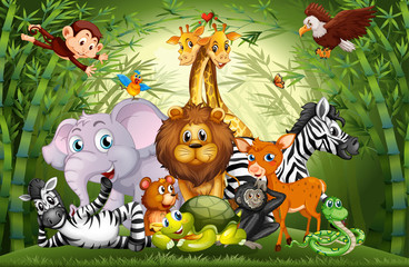 Wall Mural - Many cute animals in bamboo forest